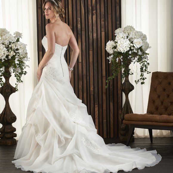 New Champagne Wedding Dress, Small Size 6, Ruched Strapless A-line w/ pickups - Picture 3 of 3